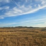 Exploring Yellowstone – Day 1