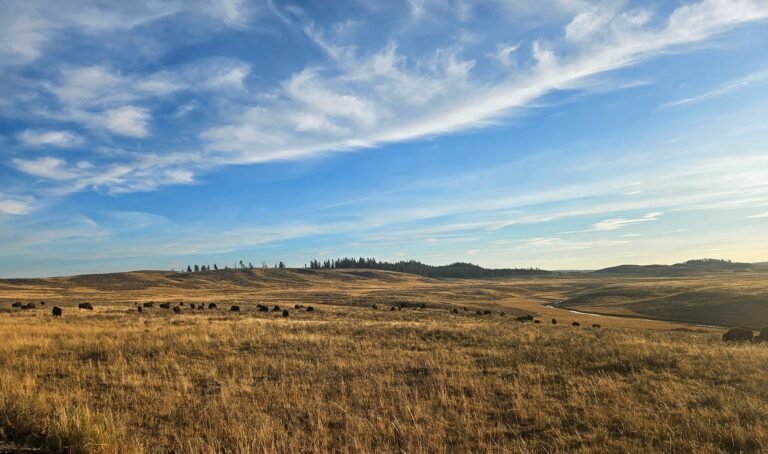 Exploring Yellowstone – Day 1