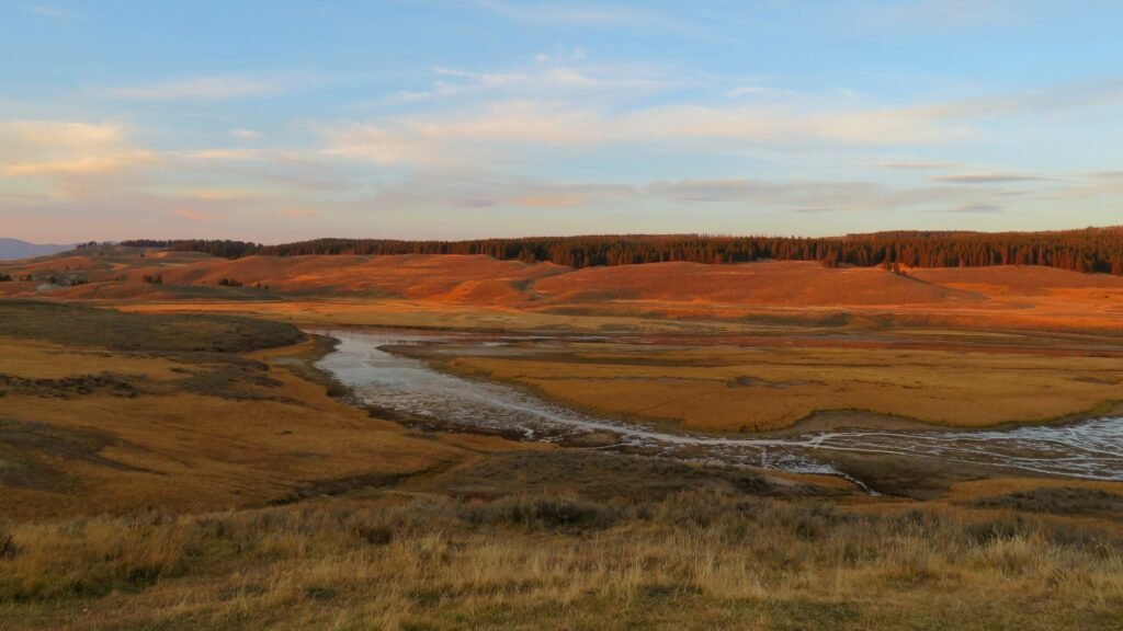 Hayden Valley at sunset.