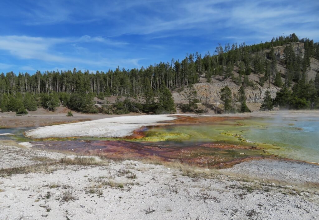 Thermophiles of the Excelsior Geyser. 