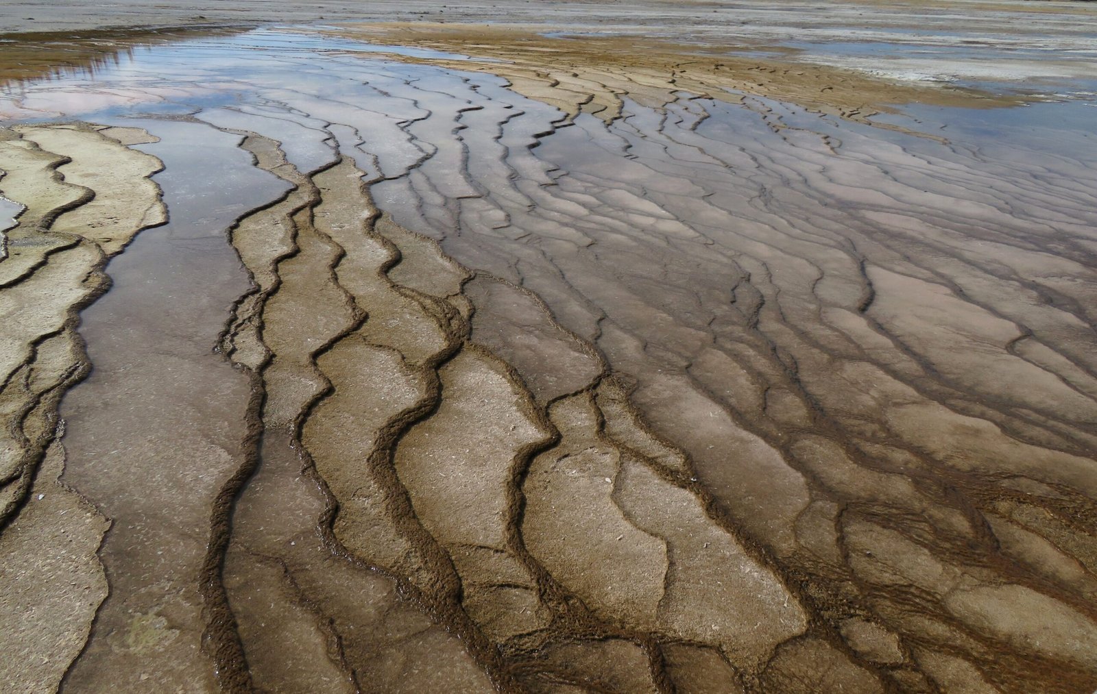 Mineral terraces of the Grand Prismatic Spring.