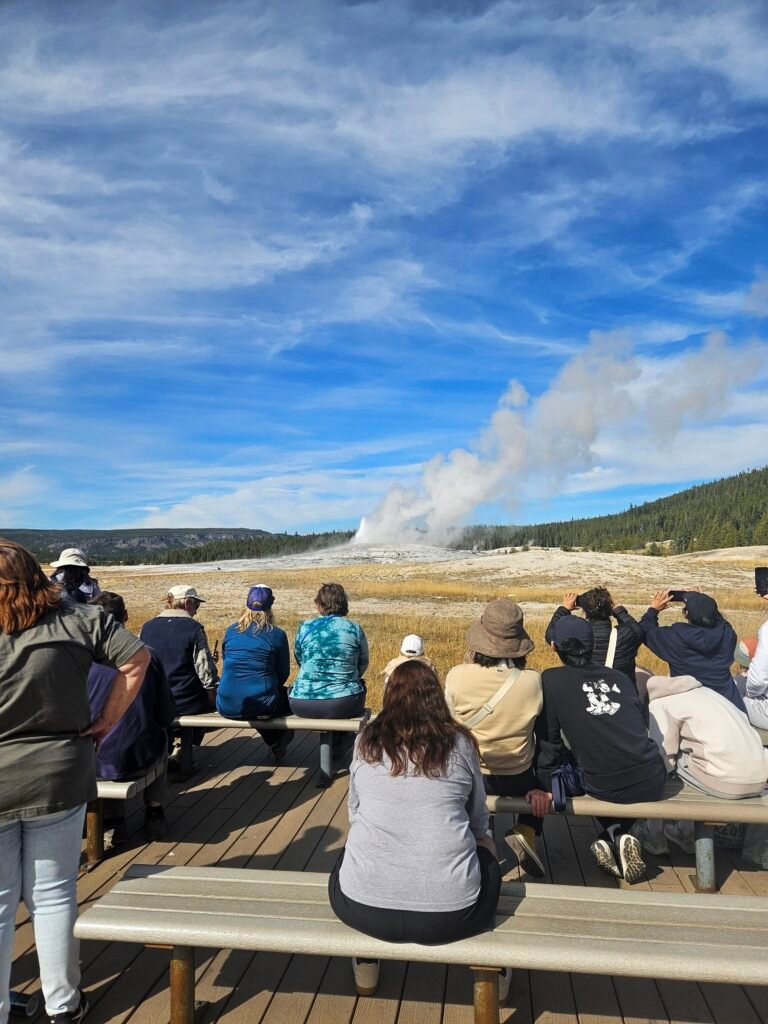 Old Faithful erupting. 
