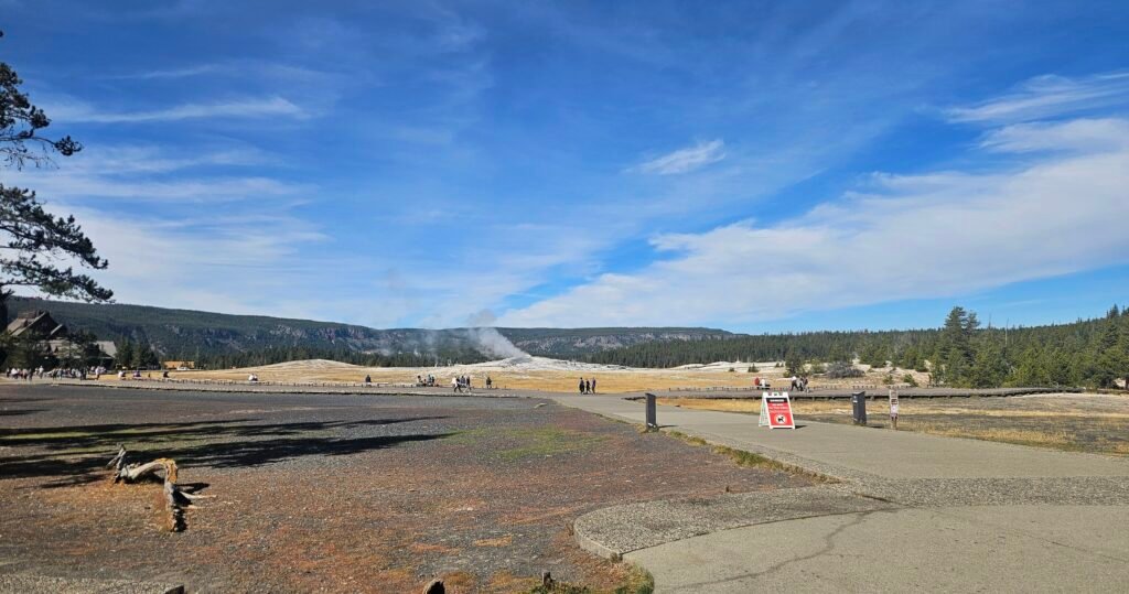View of old faithful from a distance.