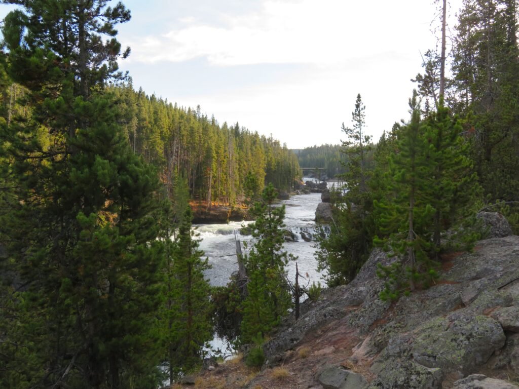 Yellowstone River before the upper falls.